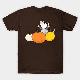 PUMPKINS T-Shirt